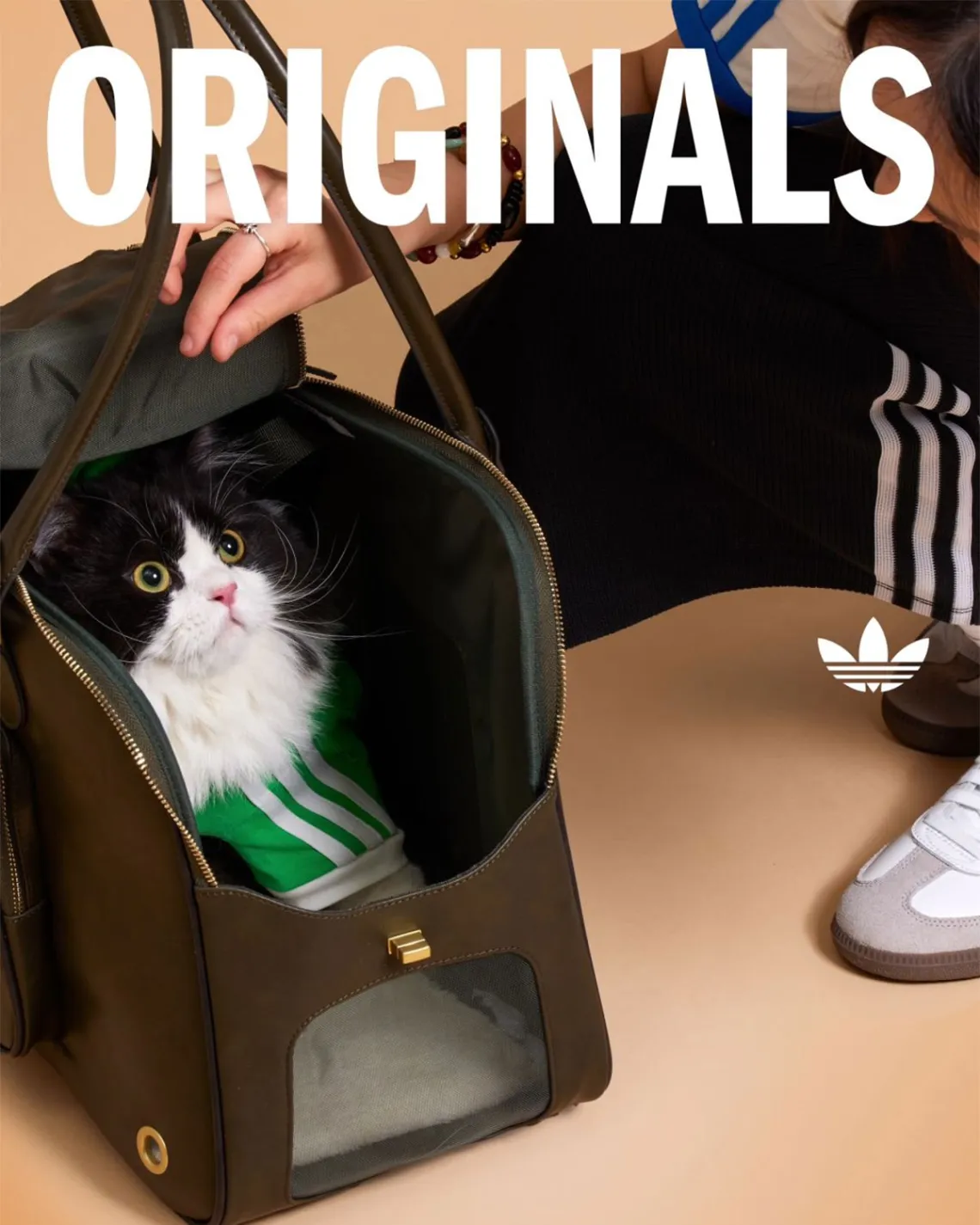 Conheça a Trefoil Pet Collection da Adidas, roupas e acessórios esportivos para pets. Inovação em design e branding para o mercado pet em expansão. Confira!