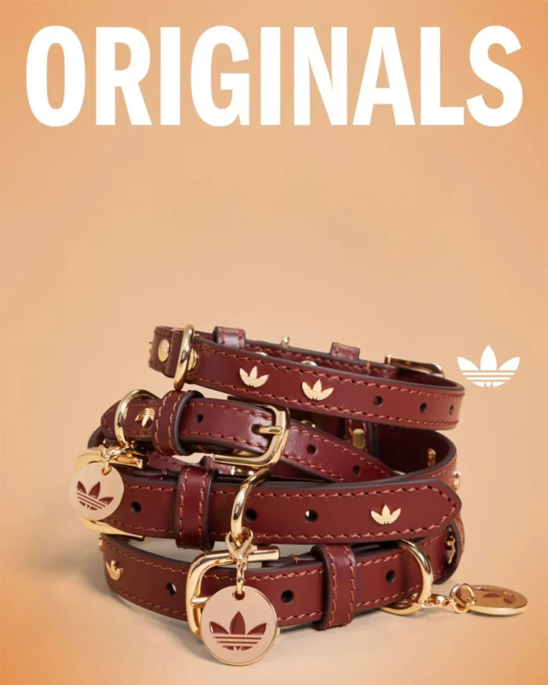 Conheça a Trefoil Pet Collection da Adidas, roupas e acessórios esportivos para pets. Inovação em design e branding para o mercado pet em expansão. Confira!