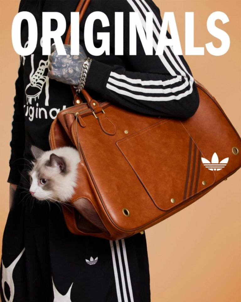 Conheça a Trefoil Pet Collection da Adidas, roupas e acessórios esportivos para pets. Inovação em design e branding para o mercado pet em expansão. Confira!