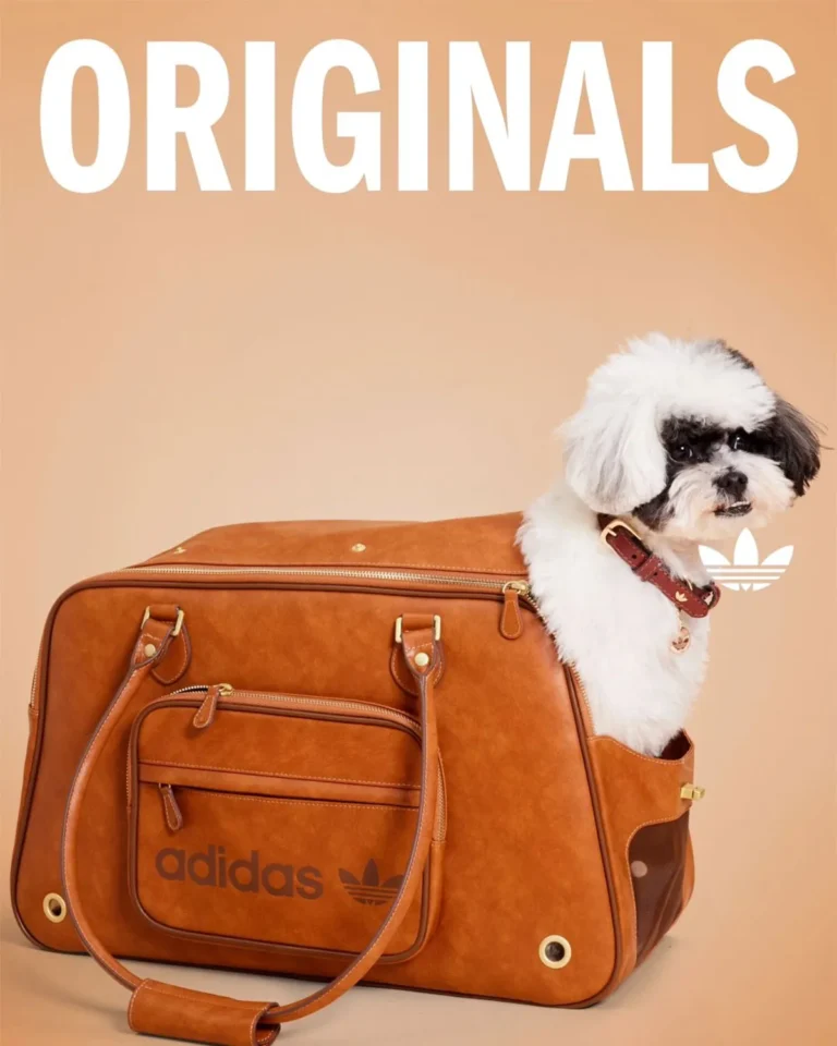 Adidas lança coleção esportiva para pets: design e inovação no mercado pet