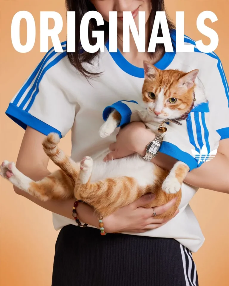 Adidas lança coleção esportiva para pets: design e inovação no mercado pet