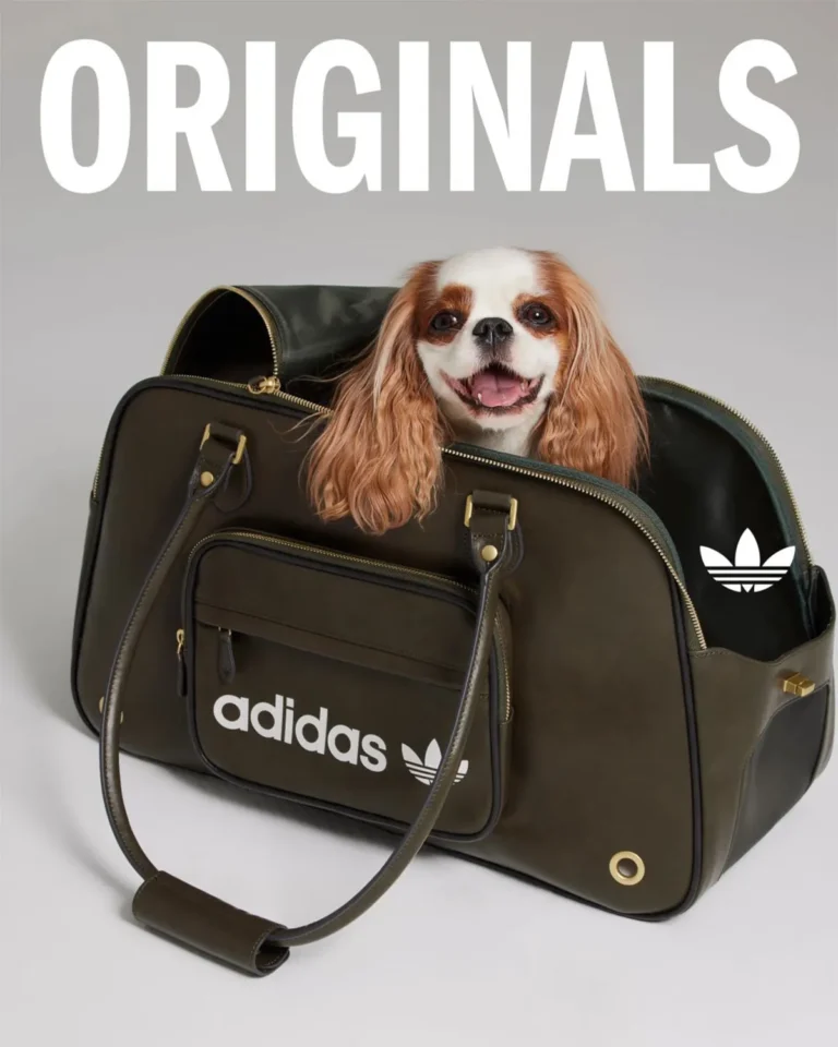 Adidas lança coleção esportiva para pets: design e inovação no mercado pet