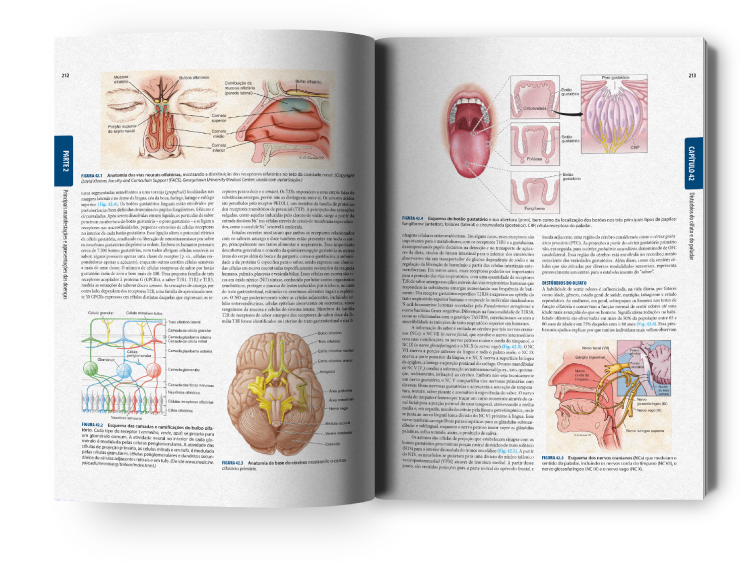Livro Medicina Interna de Harrisson